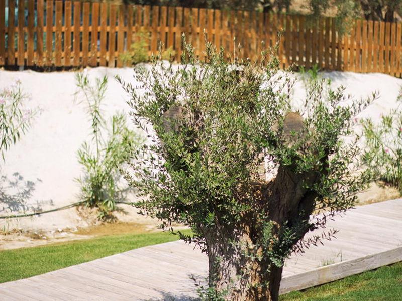فندق Aqua Bay Plános المظهر الخارجي الصورة
